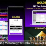 Gold365